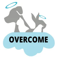 Overcome Pet Loss